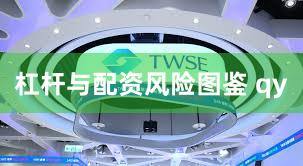 杠杆与配资风险图鉴 qy