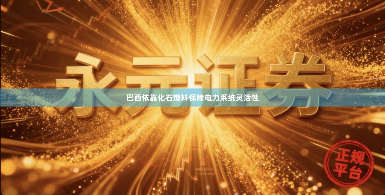 巴西依靠化石燃料保障电力系统灵活性