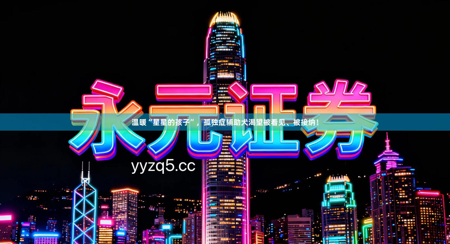 温暖“星星的孩子”，孤独症辅助犬渴望被看见、被接纳！